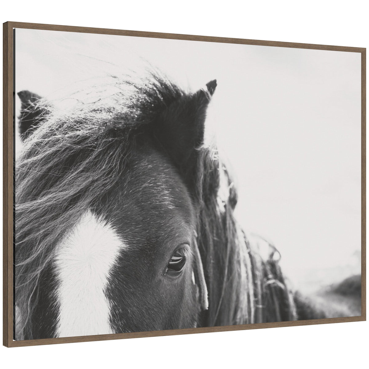 AA Noble by Alicia Abla Framed Canvas Wall Art Print