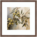 Olive Tree by The Creative Bunch Studio Framed Wall Art Print