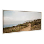 Sylvie Wild Coast No 4 Framed Canvas by Crystal Lynn Collins