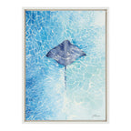 Sylvie Stingray Framed Canvas by Julie Maida