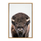 Sylvie Bison Portrait Framed Canvas by Amy Peterson Art Studio