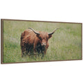 Highland Cow No. 1 by Laura Evans Framed Canvas Wall Art Print