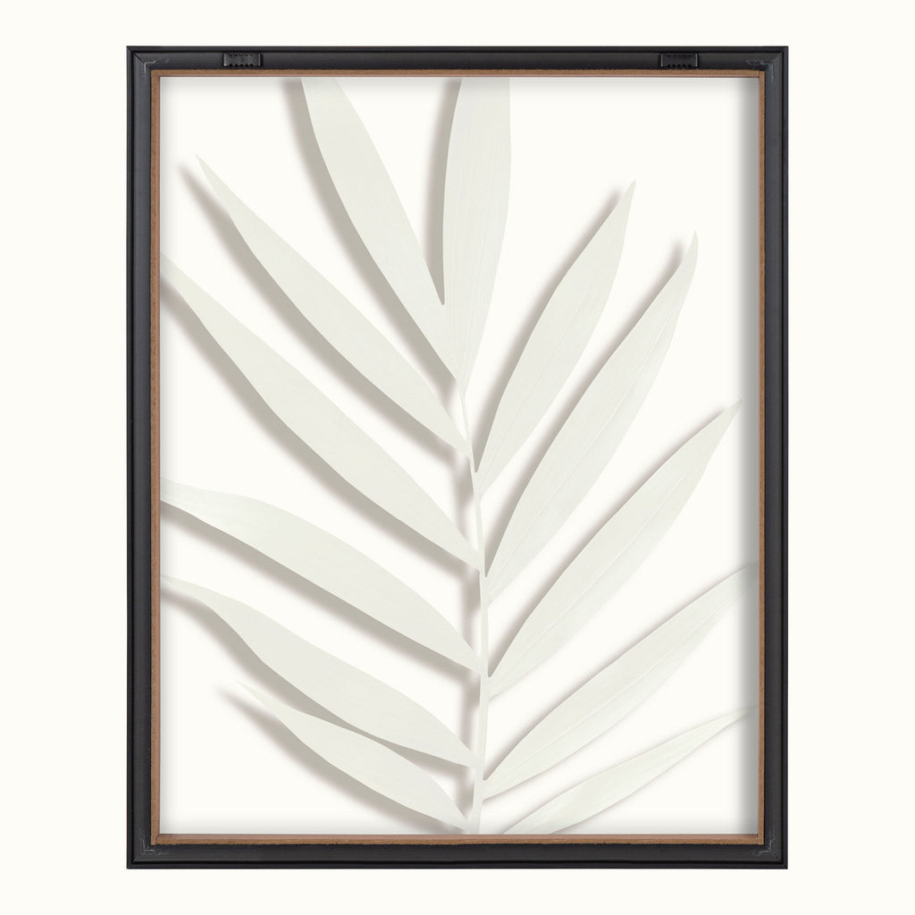 Blake Botanical 5F Framed Printed Glass by Amy Peterson