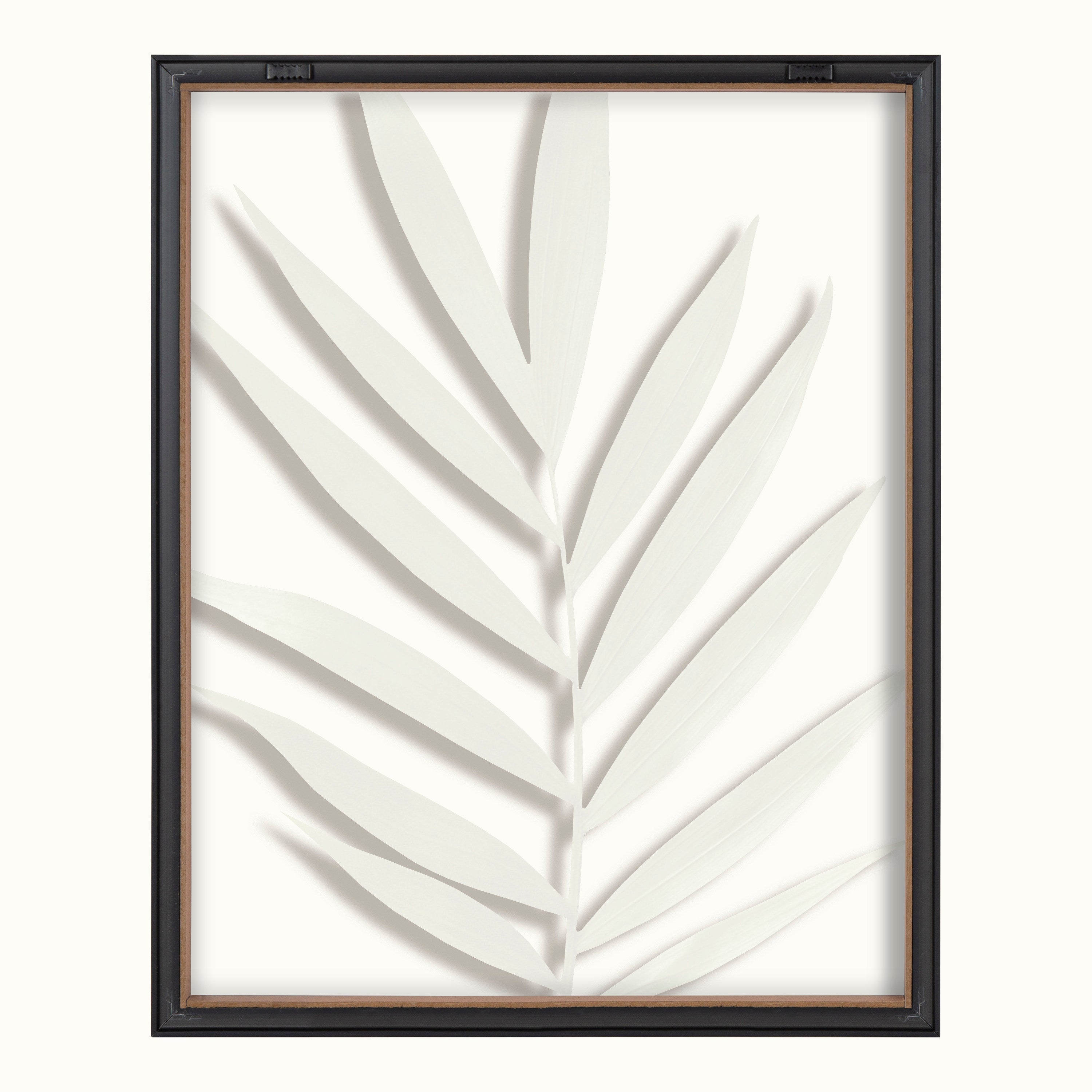 Blake Botanical 5F Framed Printed Glass by Amy Peterson