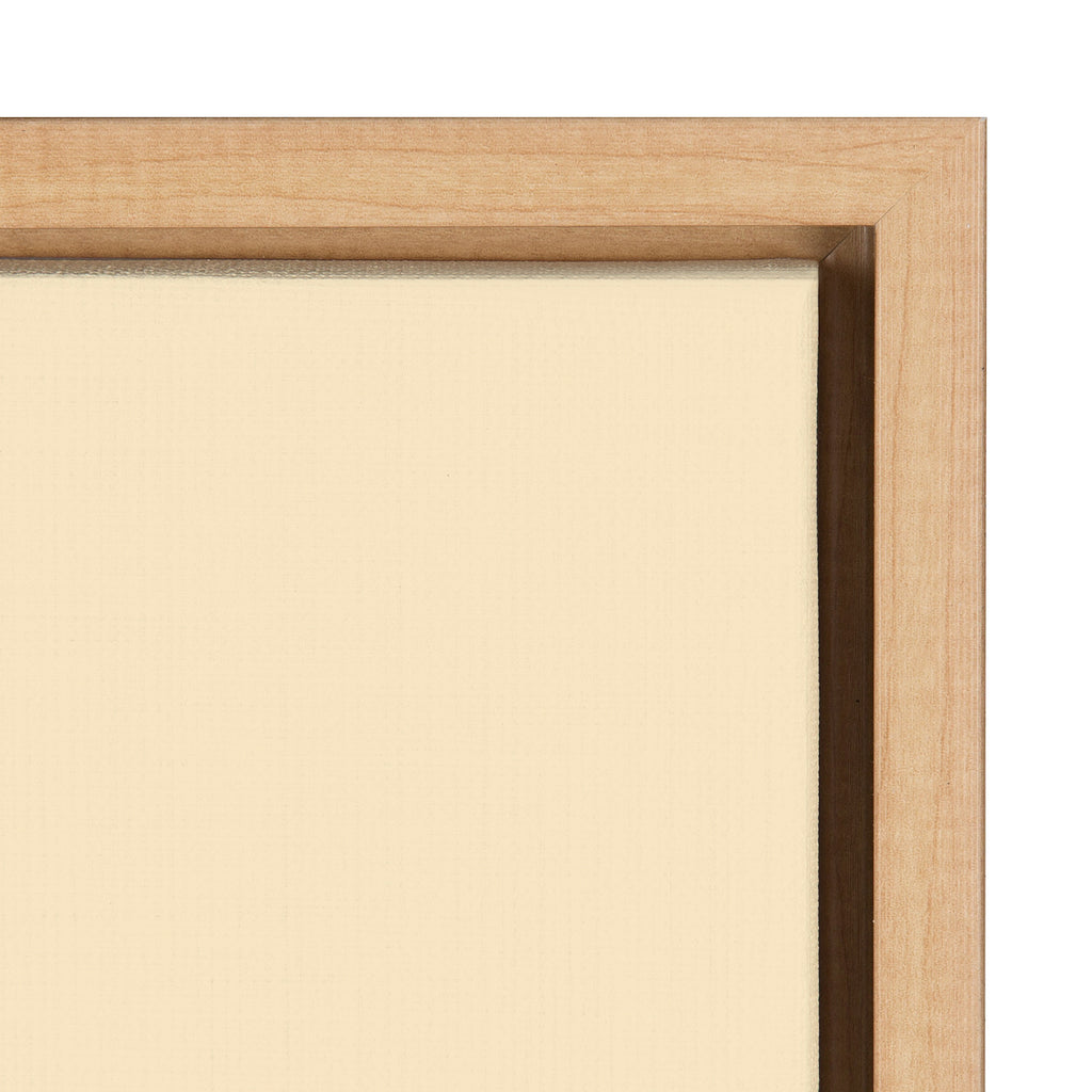 Sylvie MCM Mountains Framed Canvas by Rachel Lee of My Dream Wall