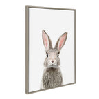 Sylvie Young Rabbit Framed Canvas by Amy Peterson Art Studio