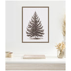 Sylvie Framed Canvas Vintage Evergreen Fir Tree lllustration I by The Creative Bunch Studio