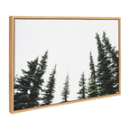 Sylvie Evergreens Framed Canvas by Patricia Hasz