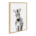Sylvie Baby Zebra Framed Canvas by Amy Peterson
