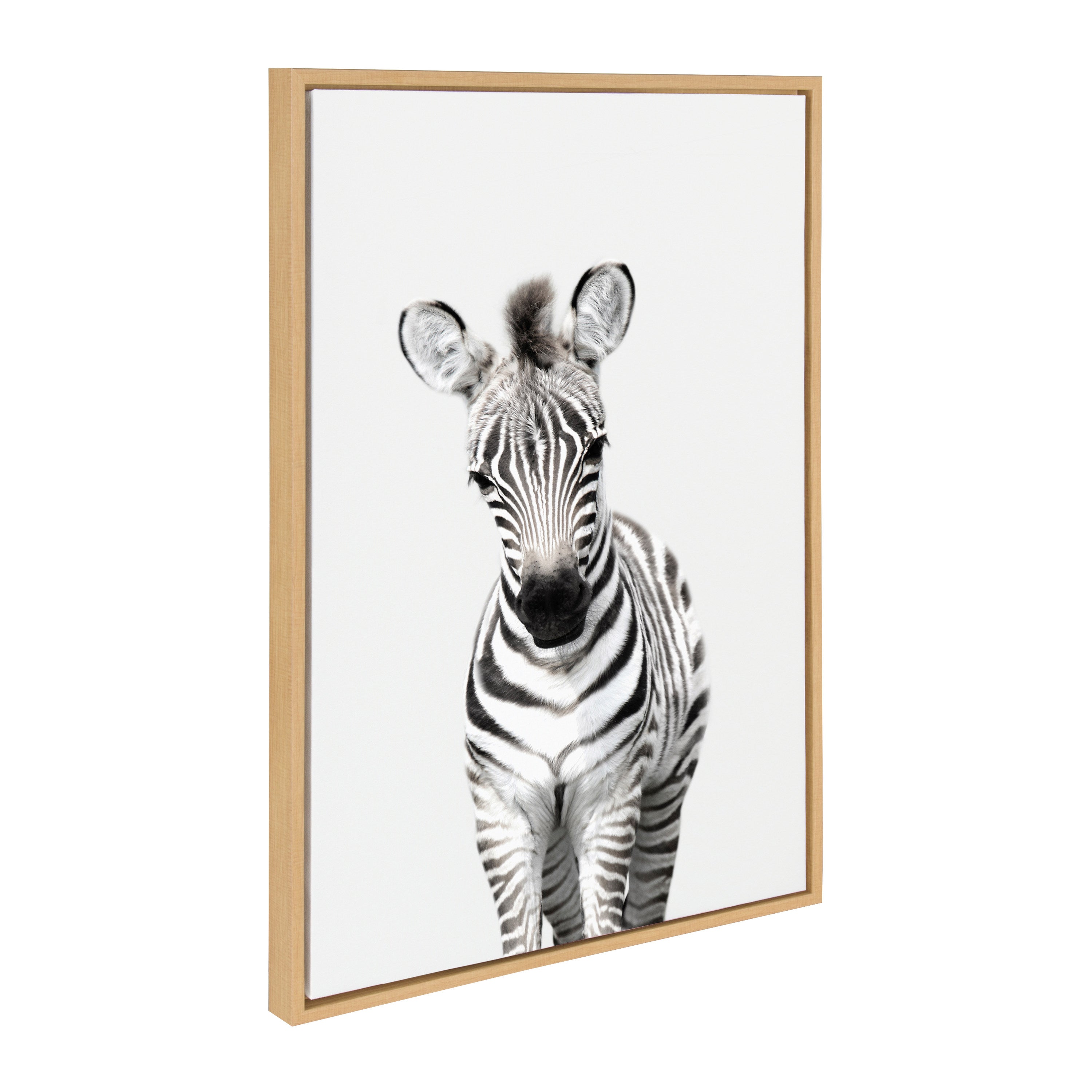 Sylvie Baby Zebra Framed Canvas by Amy Peterson