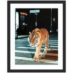 Framed Art Tiger in the City at Night 2 by Michael Schauer