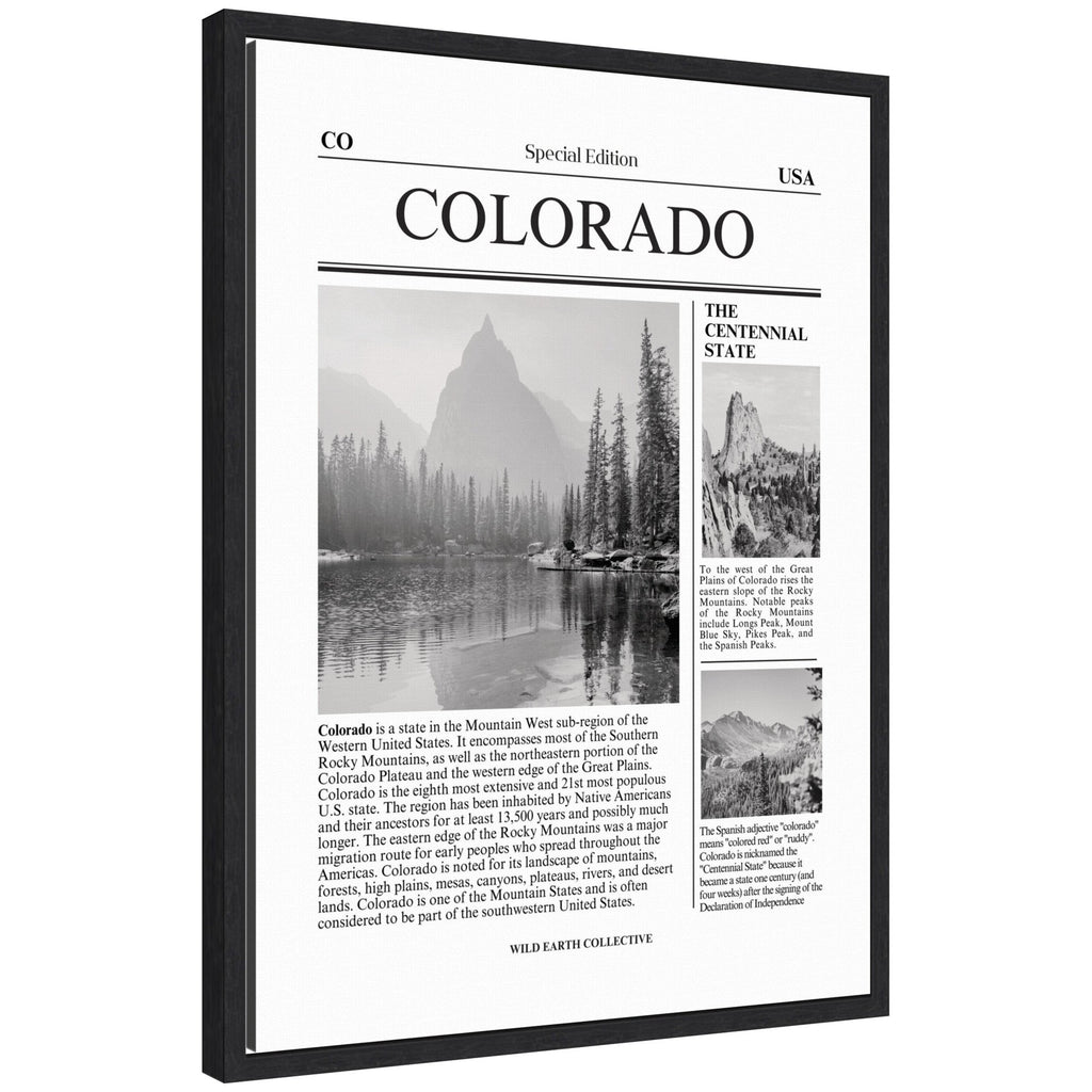 Colorado Article by Megan Ryan Framed Canvas Wall Art Print