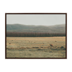 Sylvie AA On The Range Framed Canvas by Alicia Abla