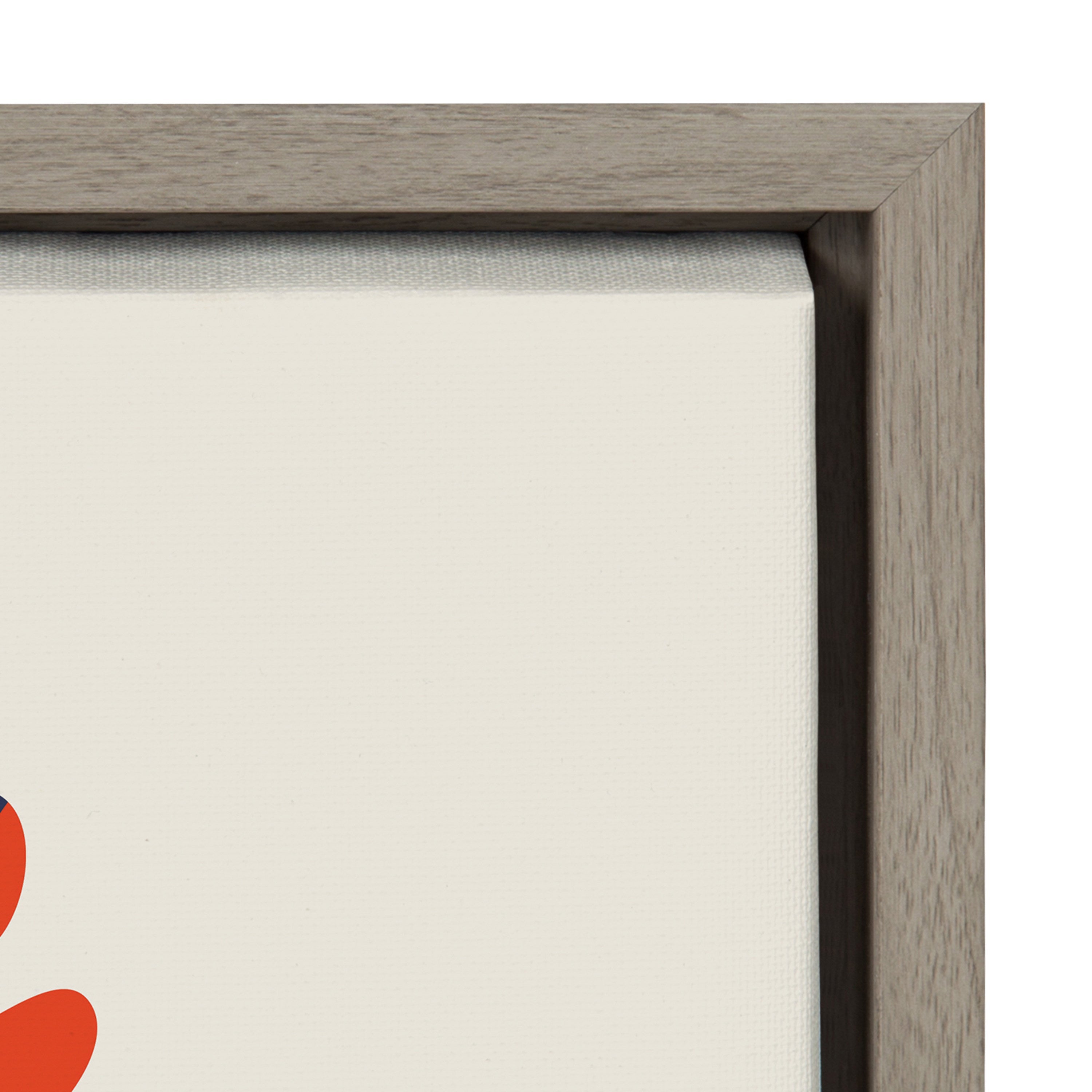 Sylvie Snail Framed Canvas by Rachel Lee of My Dream Wall