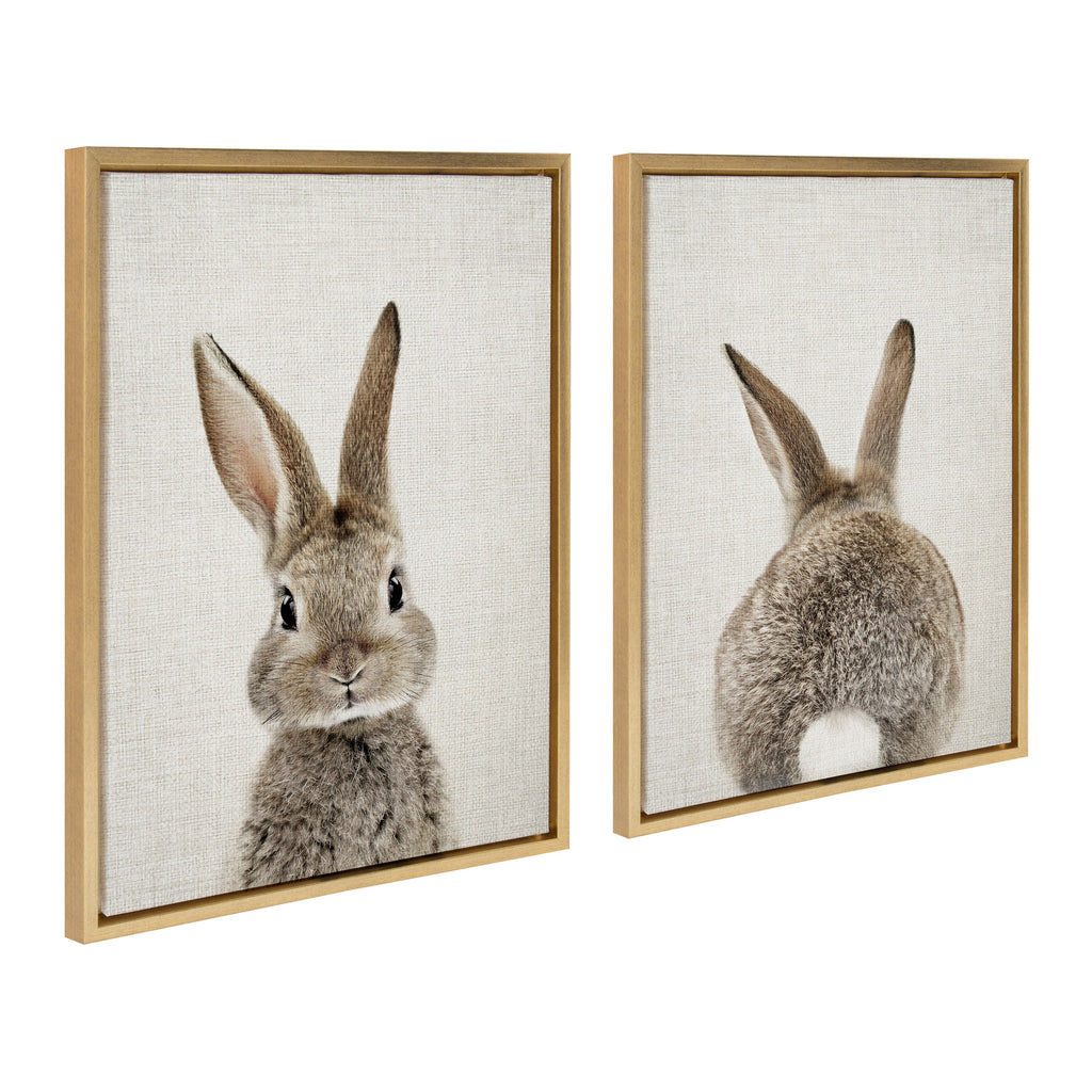 Sylvie Bunny Portrait and Bunny Tail Framed Canvas Art Set by Amy Peterson Art Studio