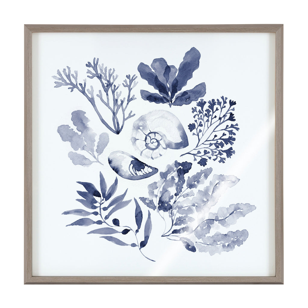 Blake Indigo Shells Framed Printed Acrylic by Sara Berrenson
