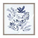 Blake Indigo Shells Framed Printed Acrylic by Sara Berrenson