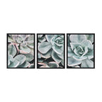 Sylvie Botanical Succulent Plants Framed Canvas Set by The Creative Bunch Studio