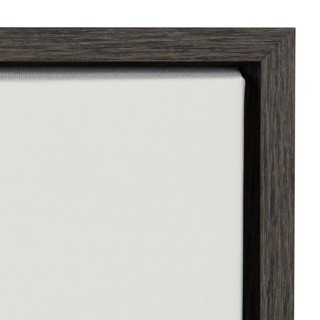 Sylvie Haze Aloe Succulent Framed Canvas by The Creative Bunch Studio