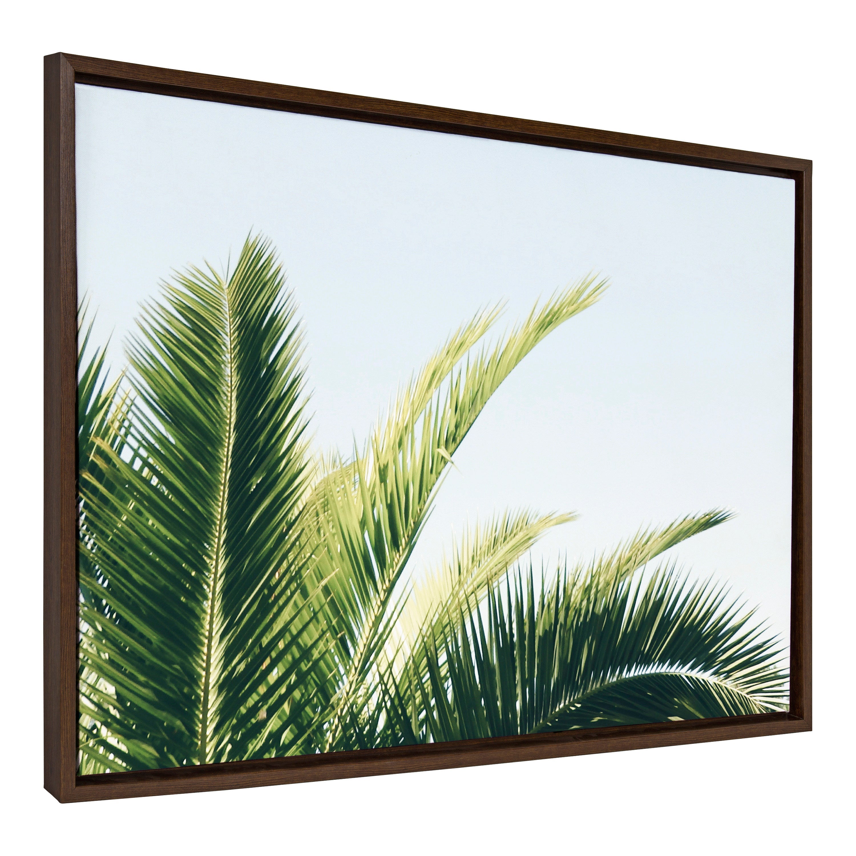 Sylvie Tropical Palm Under Blue Sky Framed Canvas by Amy Peterson Art Studio