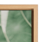 Sylvie Plant Study 7 Framed Canvas by Alicia Abla