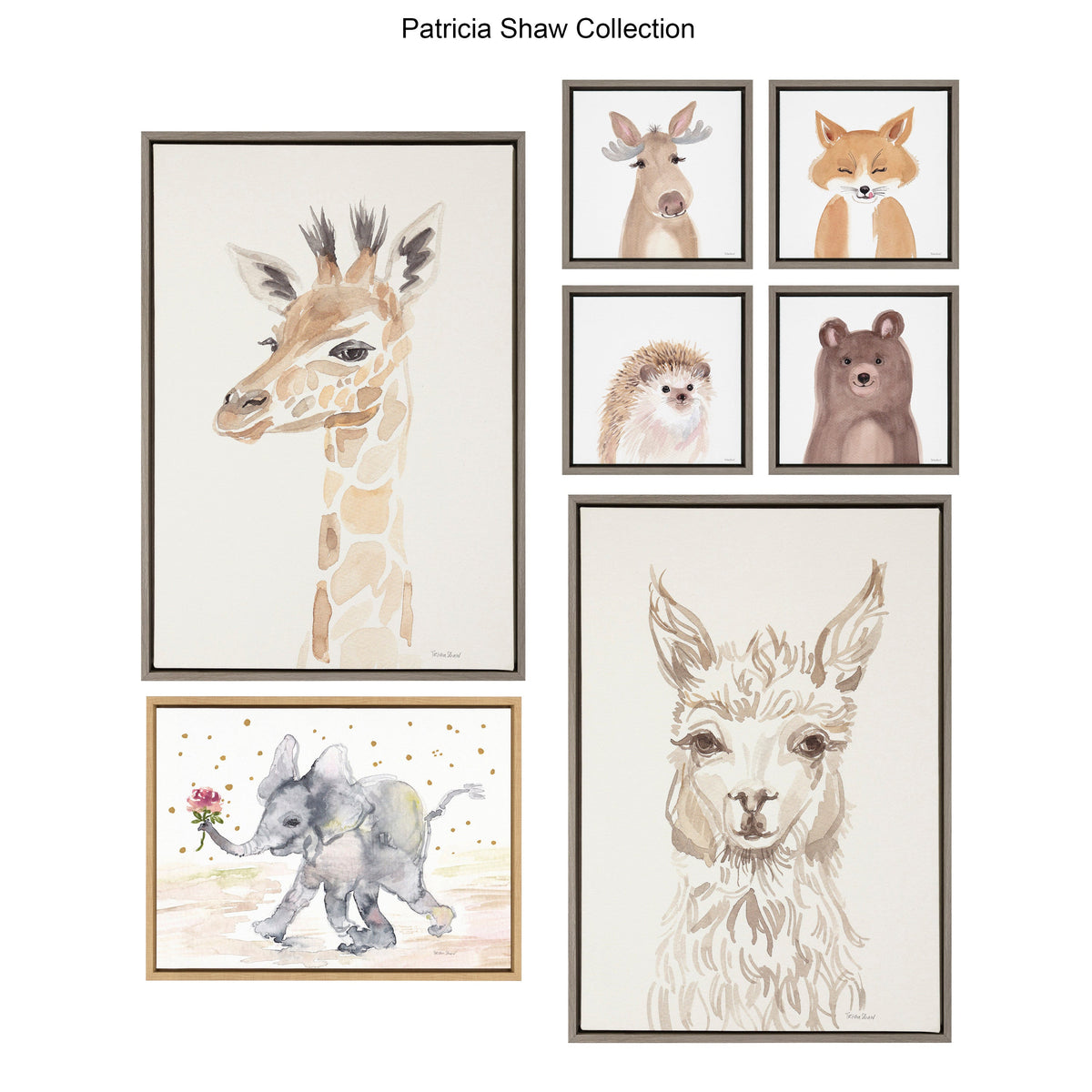 Sylvie Ruscus Framed Canvas by Patricia Shaw