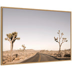 Driving Joshua Tree No. 3 by Alicia Bock Framed Canvas Wall Art Print