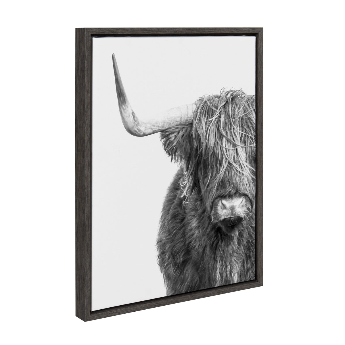 Sylvie Highland Cow Framed Canvas by Amy Peterson Art Studio