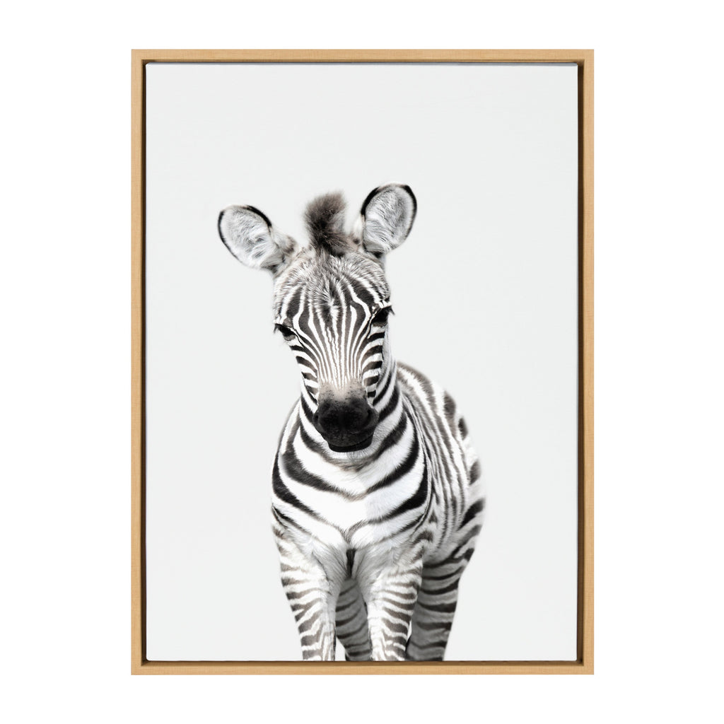 Sylvie Baby Zebra Framed Canvas by Amy Peterson
