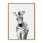 Sylvie Baby Zebra Framed Canvas by Amy Peterson