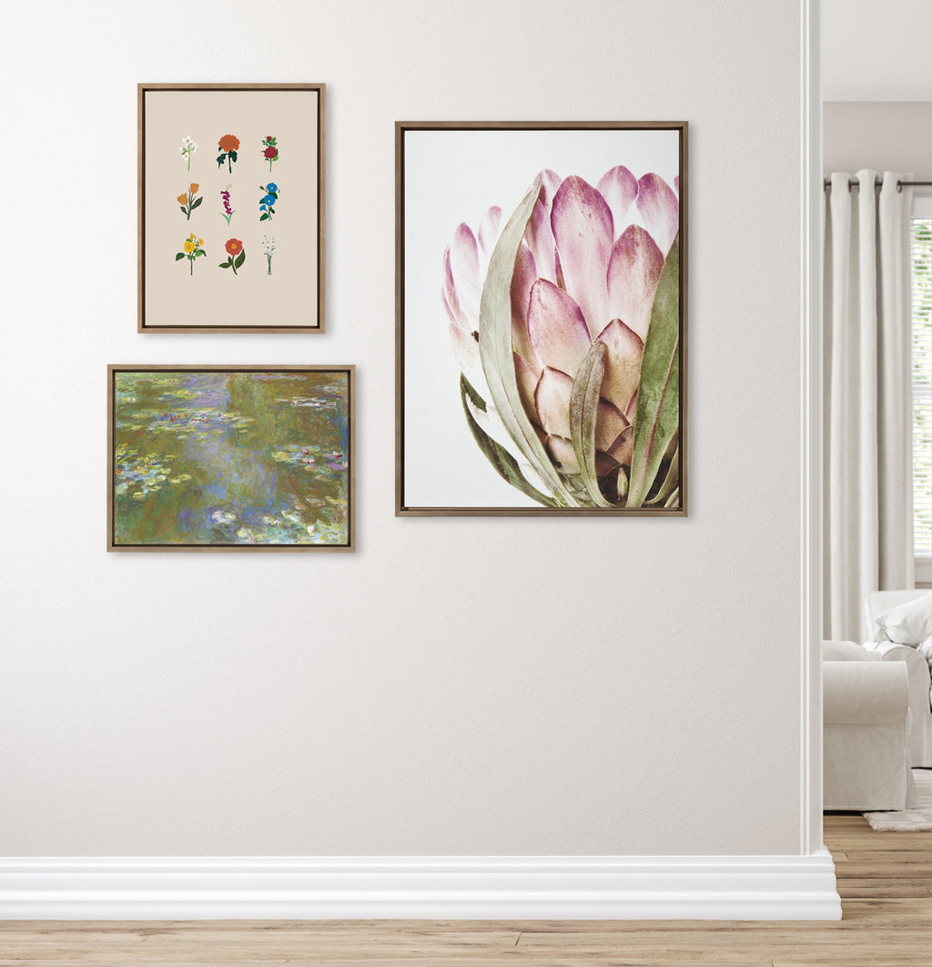 Sylvie Pink Protea Flower Framed Canvas by Amy Peterson