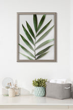 Blake Botanical 5F Framed Printed Glass by Amy Peterson