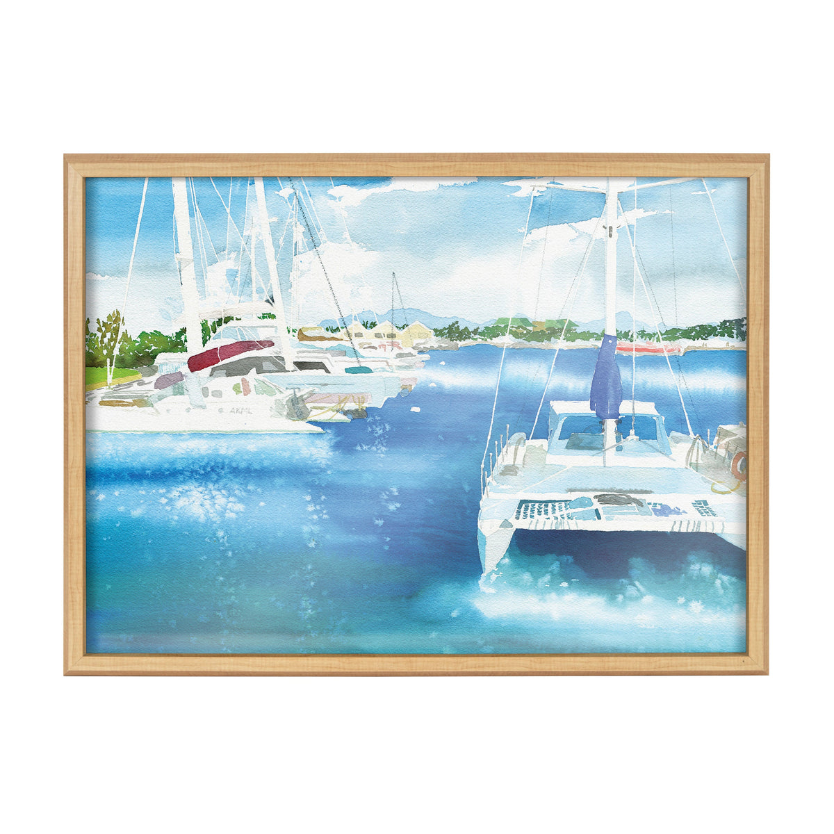 Blake Summer is for Sailing Framed Printed Glass by Janet Meinke-Lau