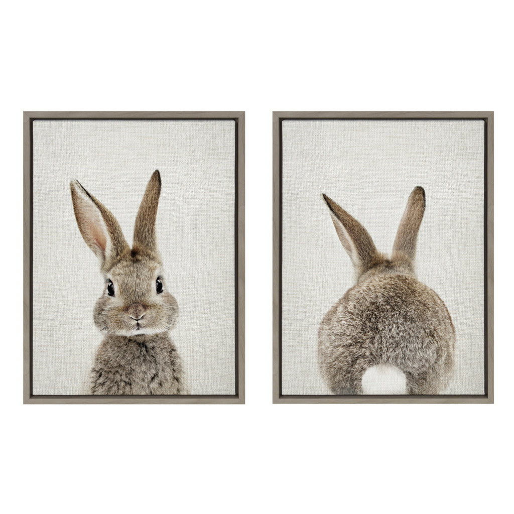 Sylvie Bunny Portrait and Bunny Tail Framed Canvas Art Set by Amy Peterson Art Studio