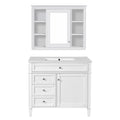 Bathroom Vanity With Mirror Cabinet, Single Sink With 2 Soft Closing Doors And 4 Drawers