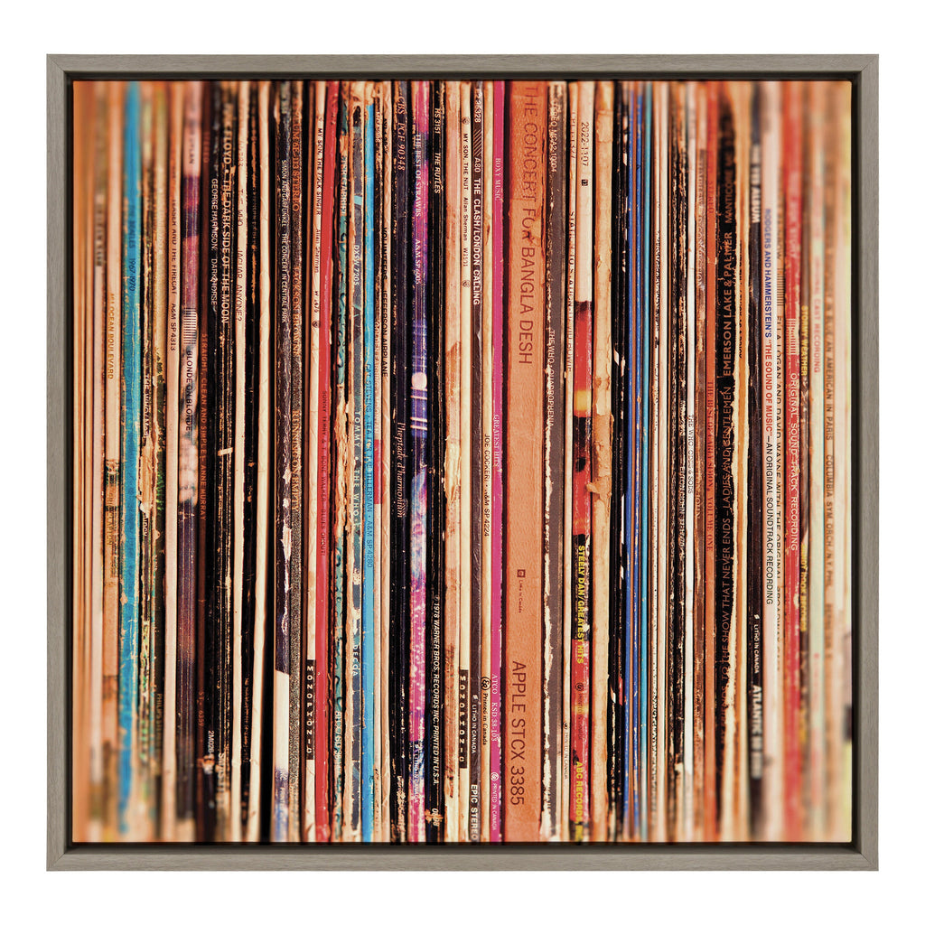Sylvie Records Framed Canvas by Robert Cadloff of Bomobob
