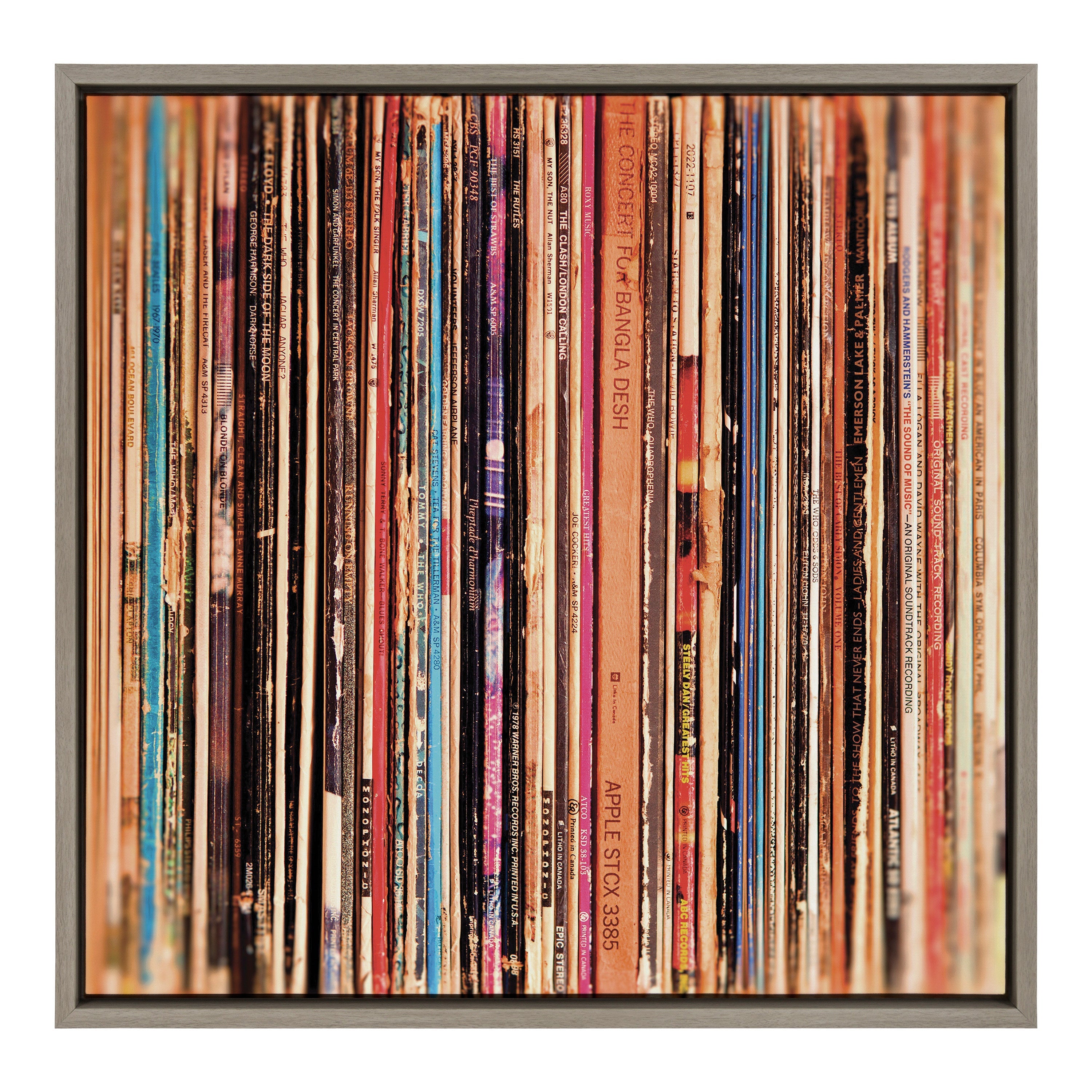 Sylvie Records Framed Canvas by Robert Cadloff of Bomobob