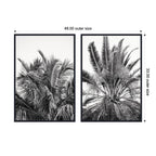 Palms No. 13 & No.15 2 Piece Framed Canvas Wall Art Set by Alicia Bock