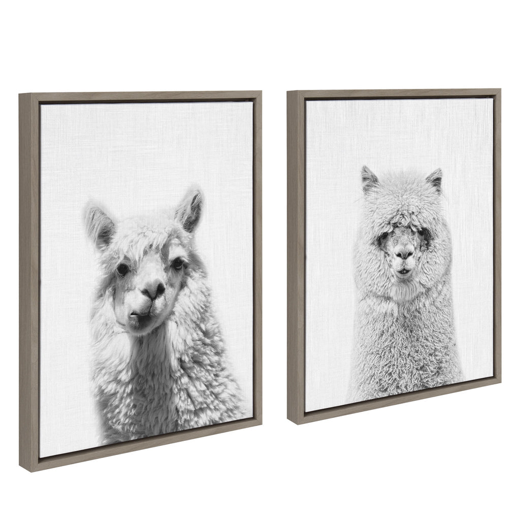 Sylvie Alpaca Portrait Set Framed Canvas By Simon Te