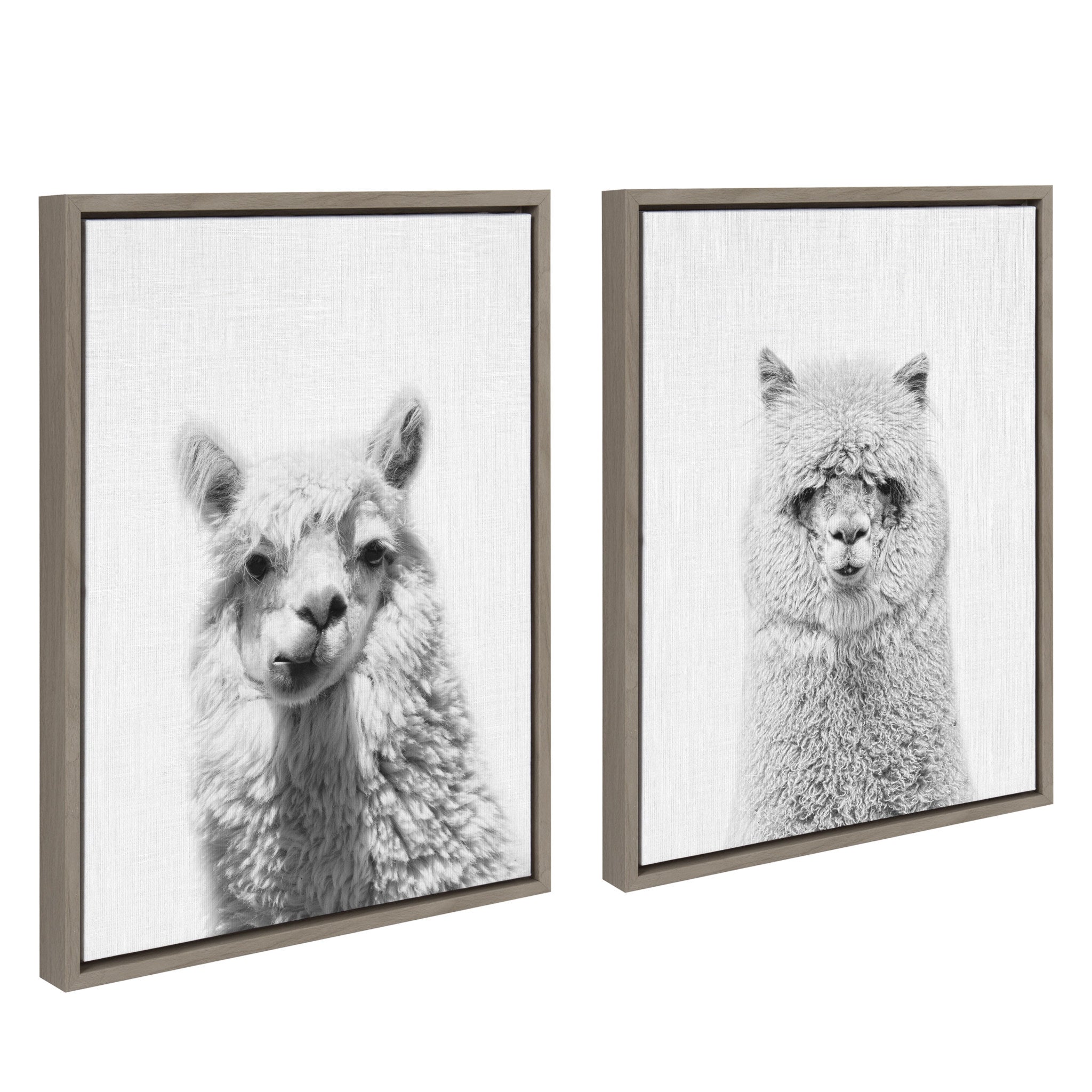Sylvie Alpaca Portrait Set Framed Canvas By Simon Te