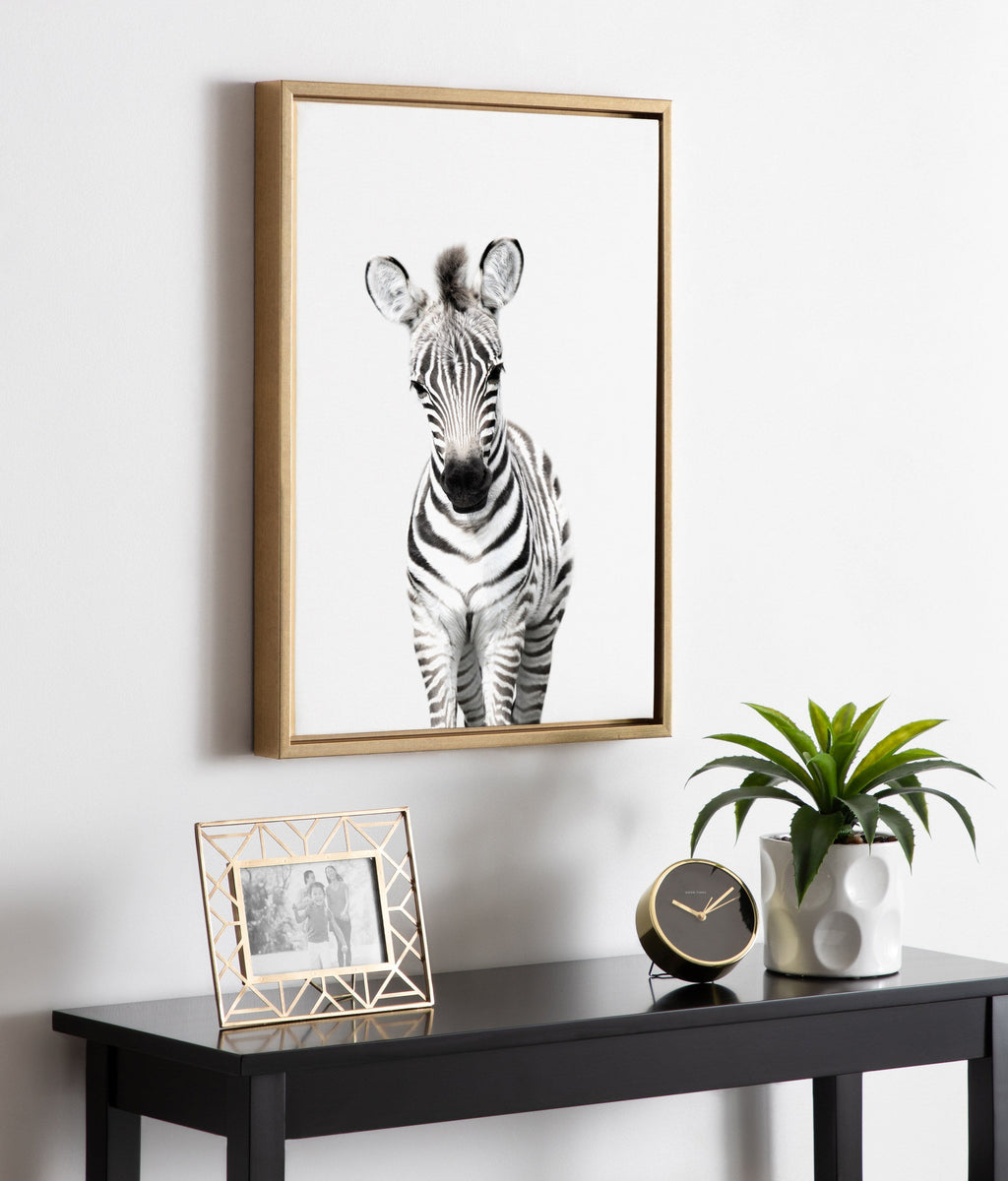 Sylvie Baby Zebra Framed Canvas by Amy Peterson