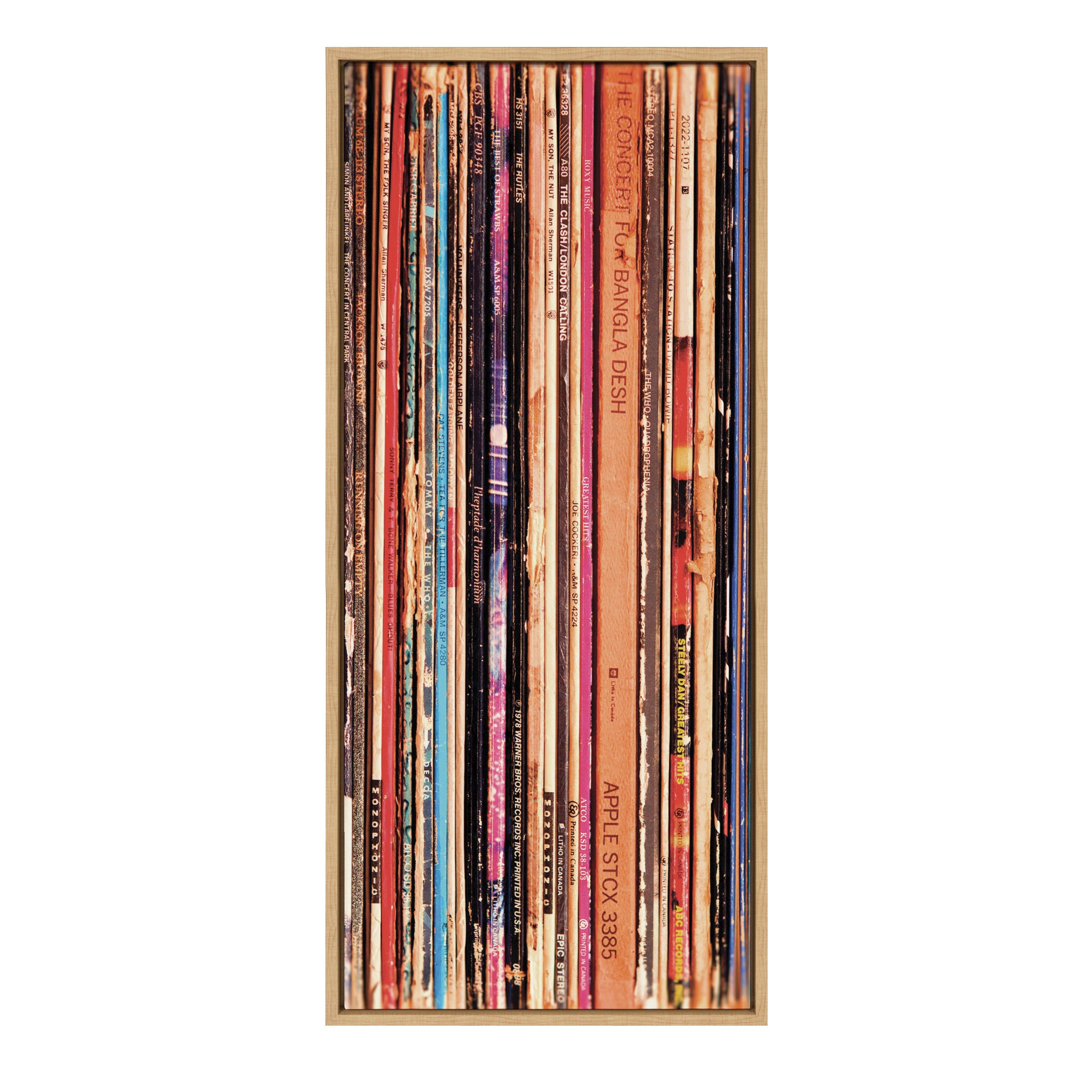 Sylvie Records Framed Canvas by Robert Cadloff of Bomobob