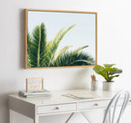 Sylvie Tropical Palm Under Blue Sky Framed Canvas by Amy Peterson Art Studio