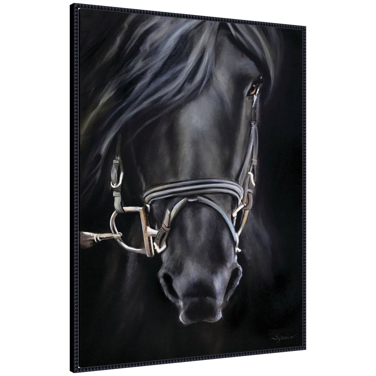Ebony Splendor by Mary Sparrow Framed Canvas Wall Art Print