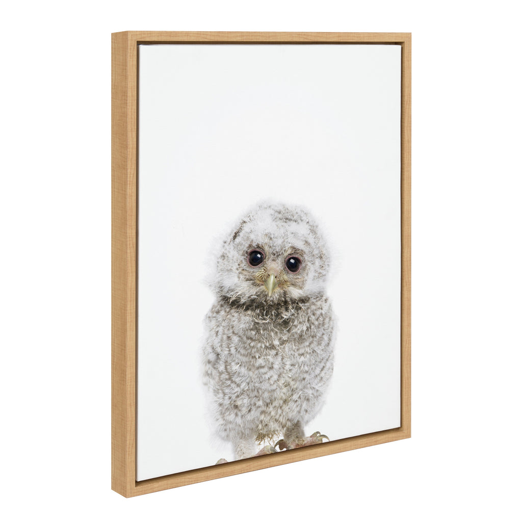 Sylvie Animal Studio Owl Framed Canvas by Amy Peterson Art Studio