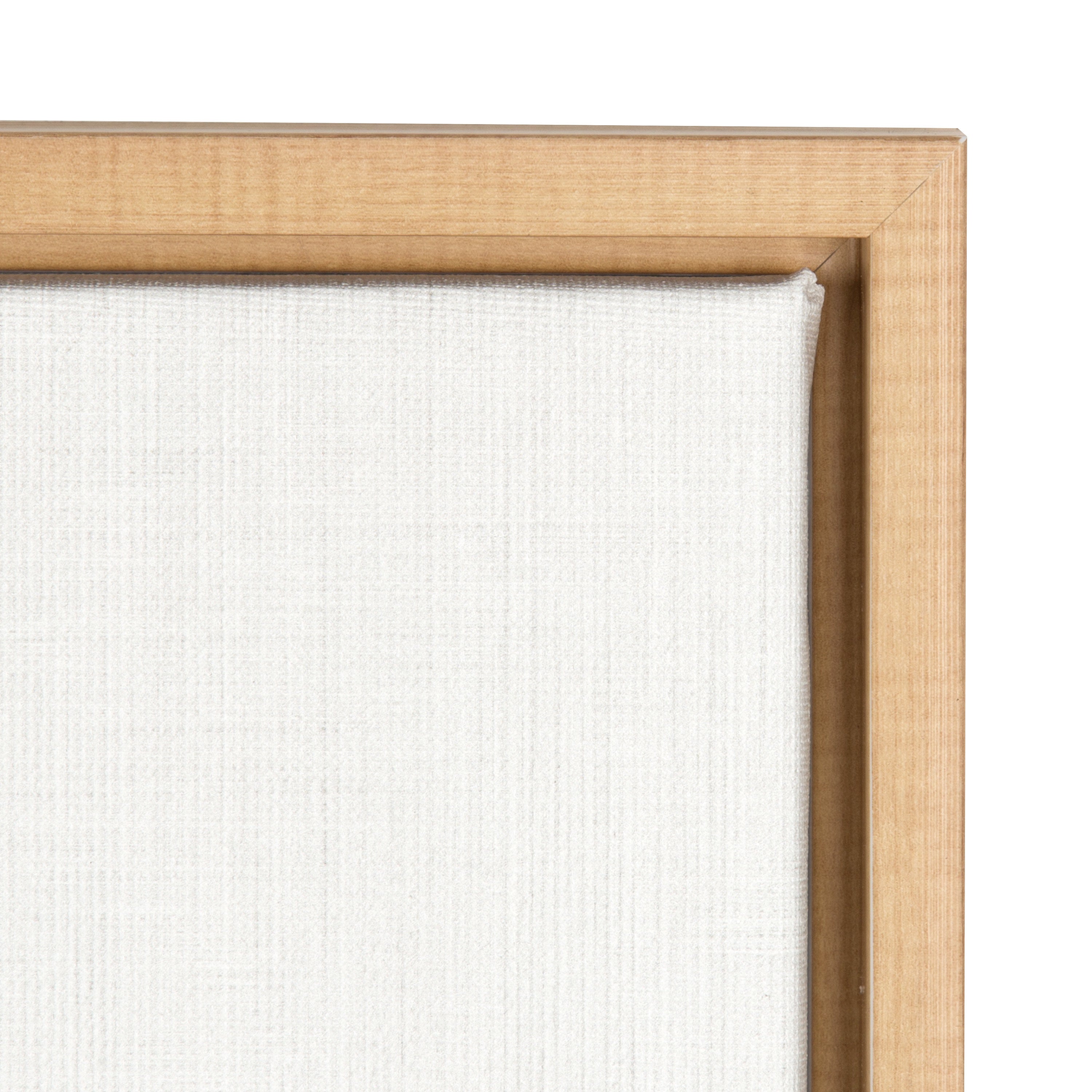 Sylvie Lion Framed Canvas by Simon Te Tai