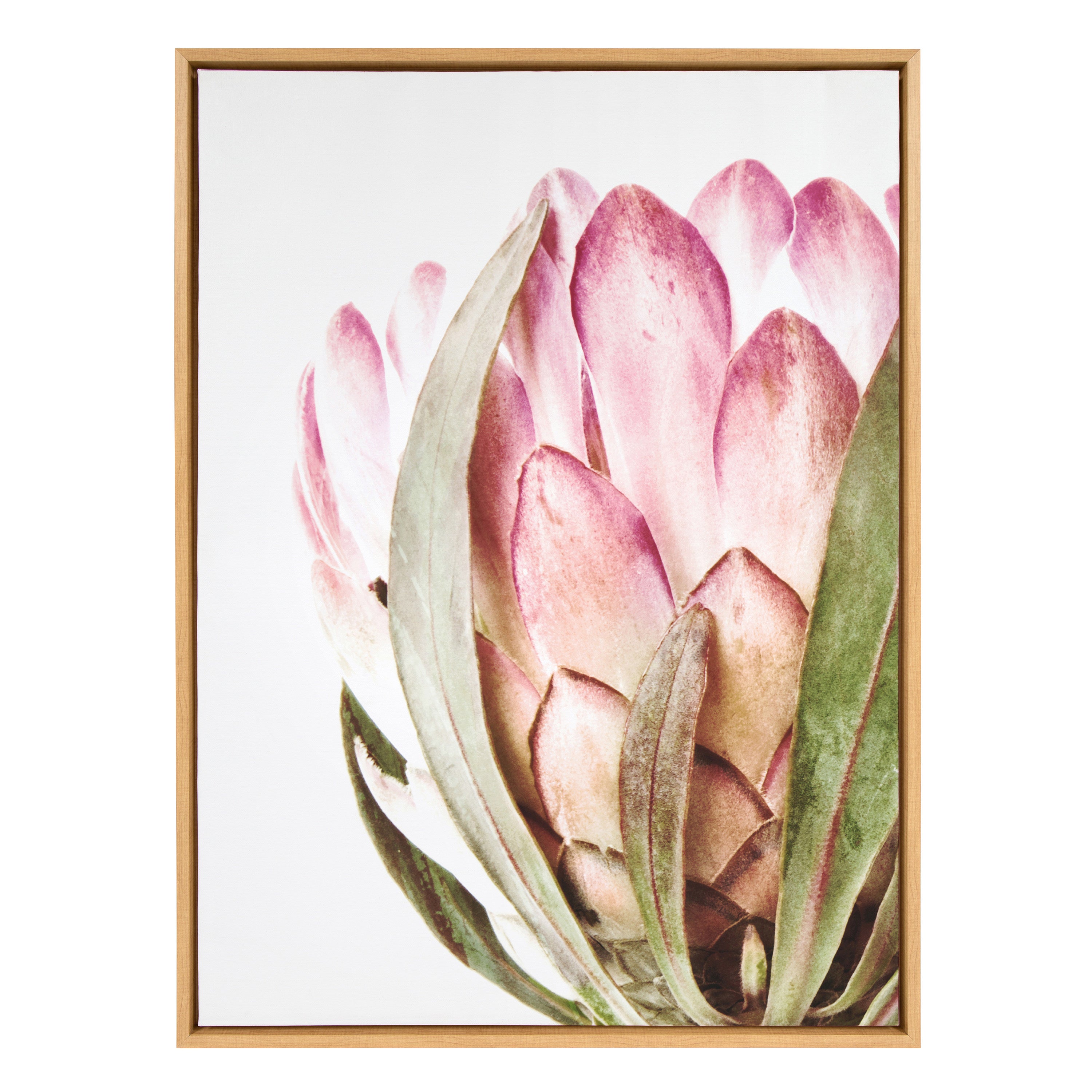 Sylvie Pink Protea Flower Framed Canvas by Amy Peterson