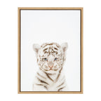 Sylvie Animal Studio Baby White Tiger Framed Canvas by Amy Peterson Art Studio