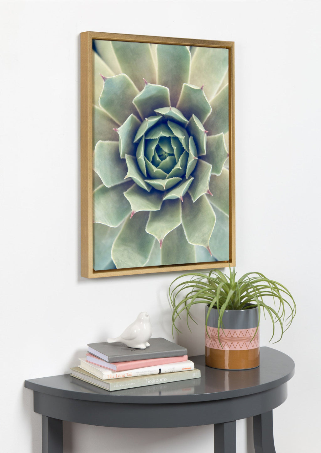 Sylvie Succulent 1 Framed Canvas by F2 Images