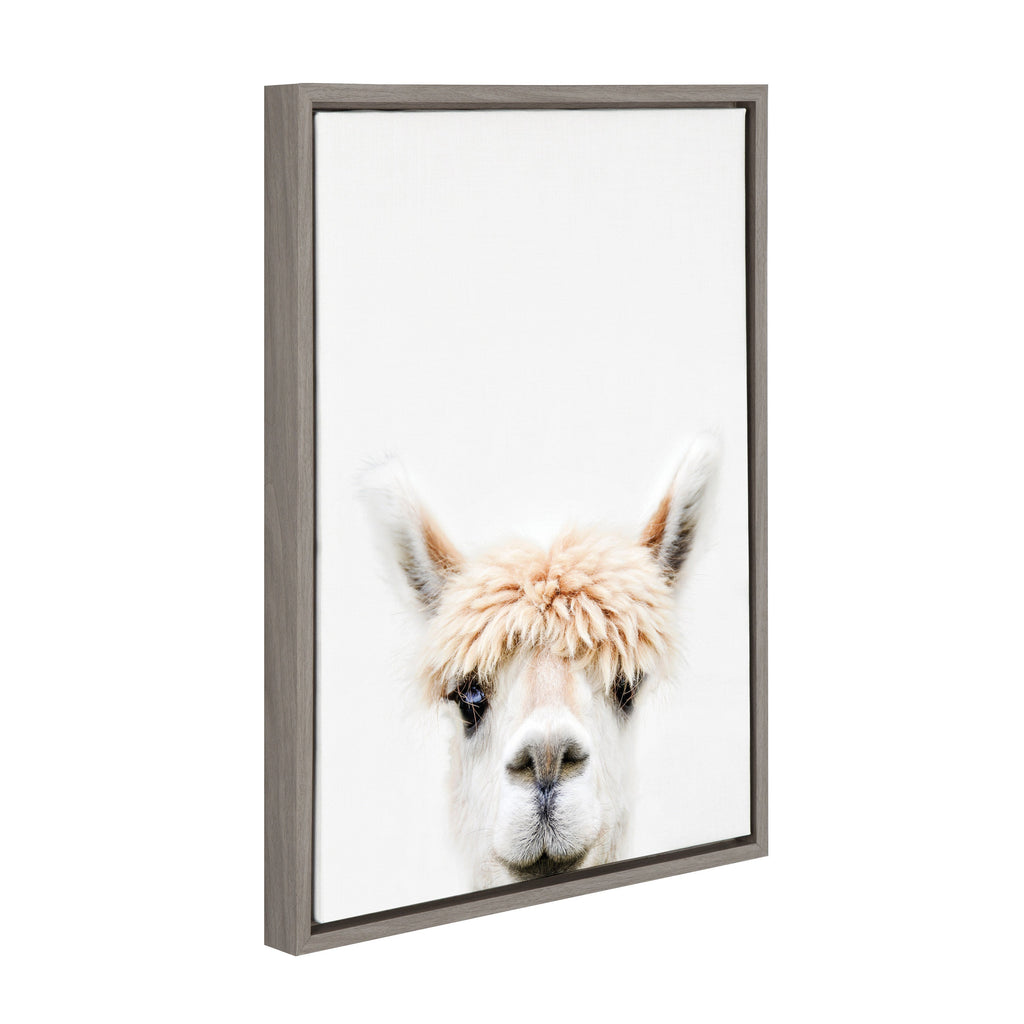 Sylvie Alpaca Bangs Framed Canvas by Amy Peterson Art Studio